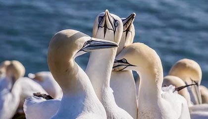 乐清2026年最新杭州高端商务伴游招聘网渠道分享(最方便真实的乐清茉莉伴游伴游天下全国联盟方法)