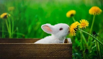 乐清2026年最新北京商务伴游经纪招聘渠道分享(最方便真实的乐清北京爱特博旅运服务有限责任公司招聘方法)